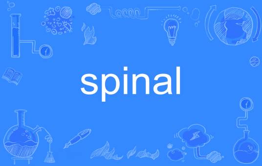 spinal
