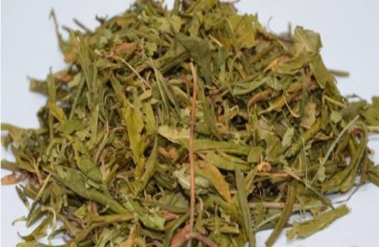 满山红（中药）