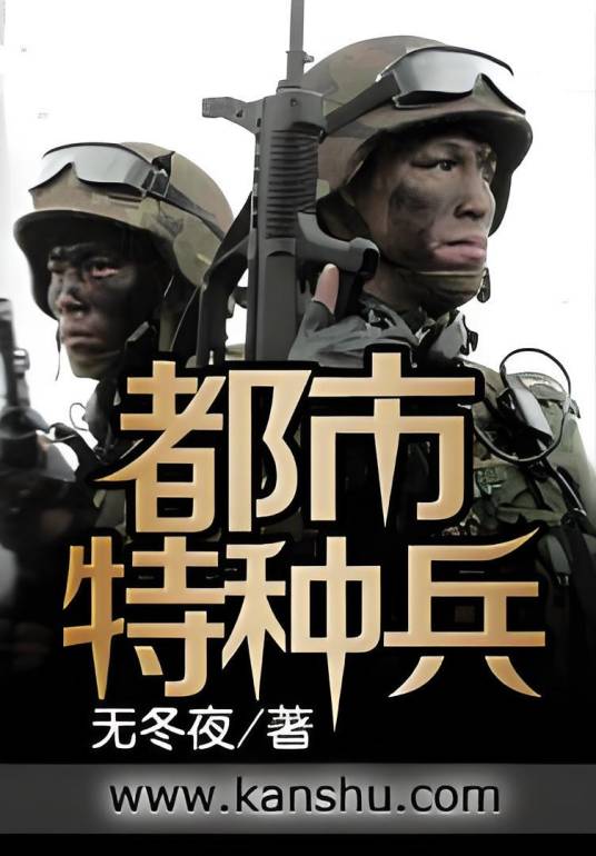 都市特种兵（无冬夜著网络小说）