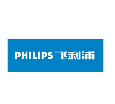 飞利浦电子公司