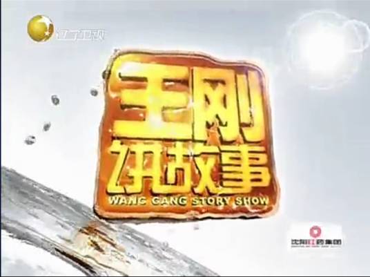 王刚讲故事（新闻故事栏目）