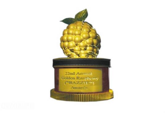 第22届金酸莓奖