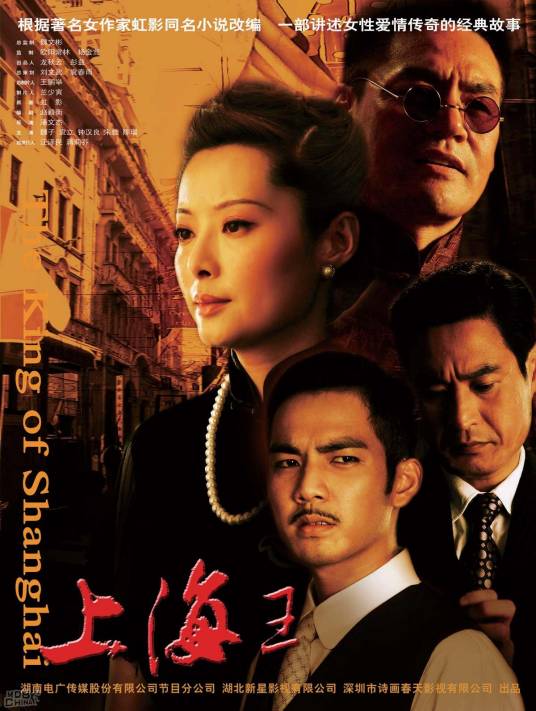 上海王（2009年钟汉良、袁立主演电视剧）