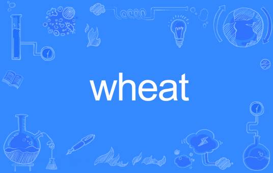 wheat