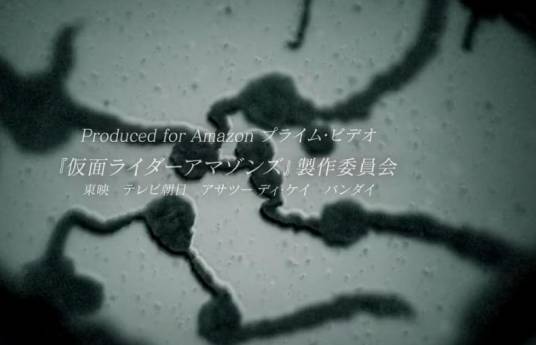 亚马逊（特摄剧《假面骑士Amazons》中登场怪人）