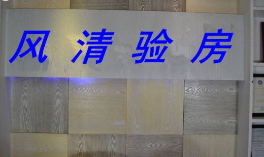 合肥风清房地产检测咨询有限公司