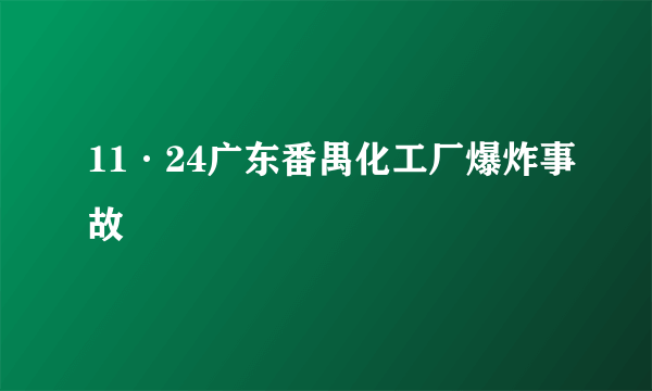 11·24广东番禺化工厂爆炸事故