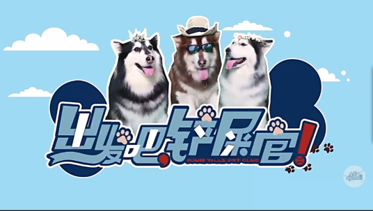 出发吧,铲屎官!