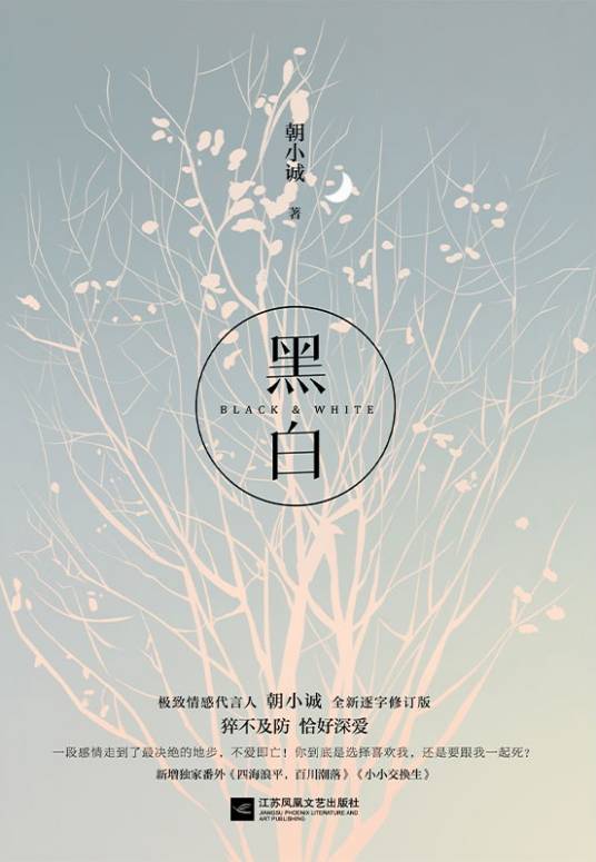 黑白（2021年江苏文艺出版社出版的图书）