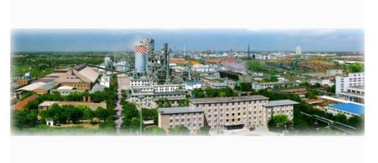 沧州大化股份有限公司