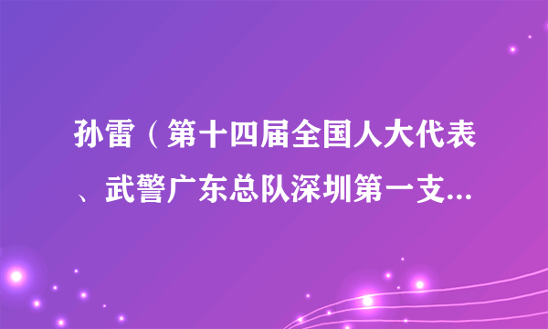 孙雷（第十四届全国人大代表、武警广东总队深圳第一支队政治委员）