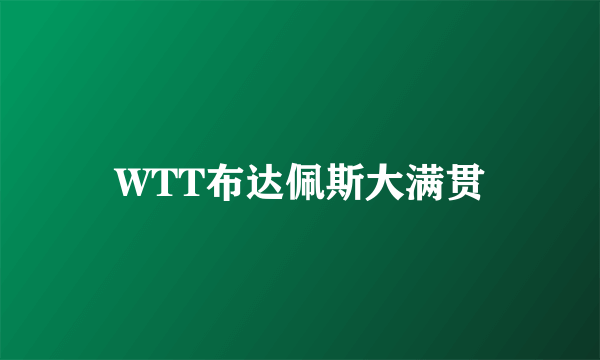 WTT布达佩斯大满贯