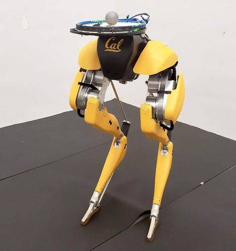 Cassie（双足机器人）