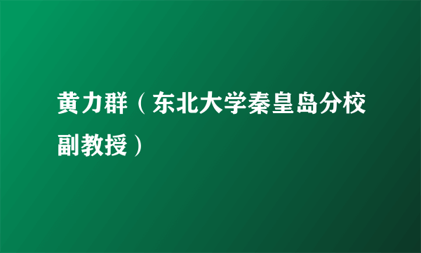 黄力群（东北大学秦皇岛分校副教授）