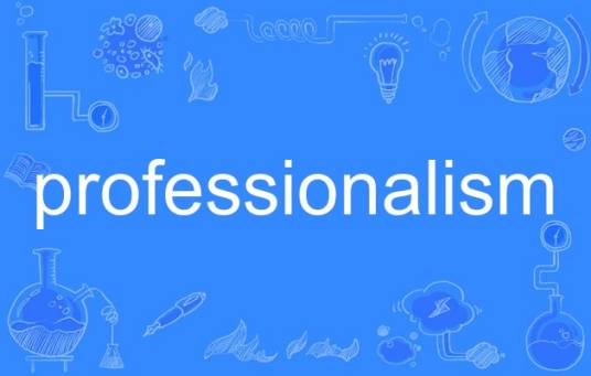 professionalism（英语单词）