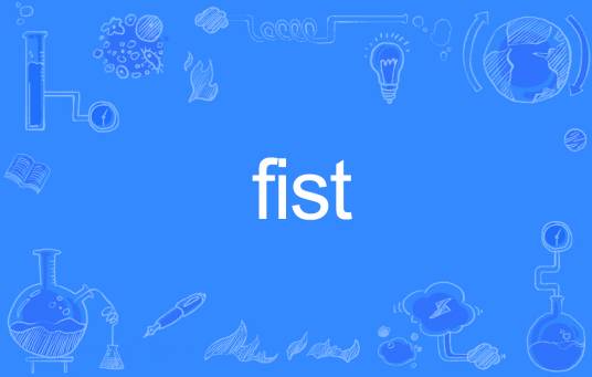 FIST（英文单词）