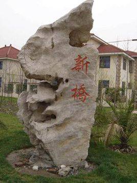 新桥镇（上海松江区辖镇）