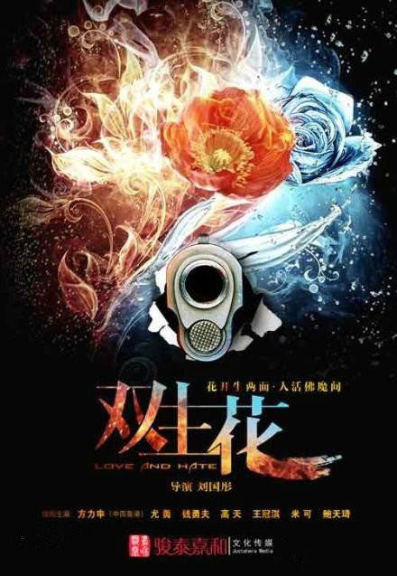 双生花（2014年刘国彤执导的电视剧）