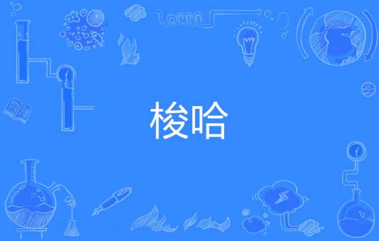 梭哈（网络流行词）