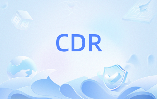 CDR（呼叫详细记录）