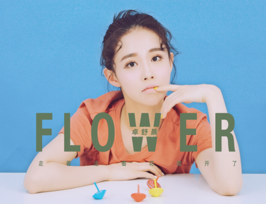 走着走着花就开了（卓舒晨演唱歌曲）