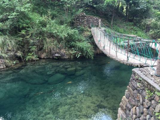 浙江大奇山国家森林公园