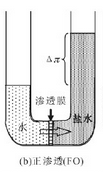 正渗透