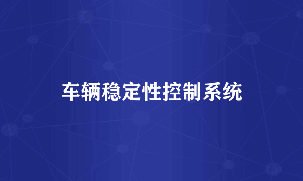 车辆稳定性控制系统