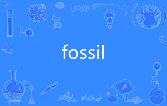 fossil（英语单词）