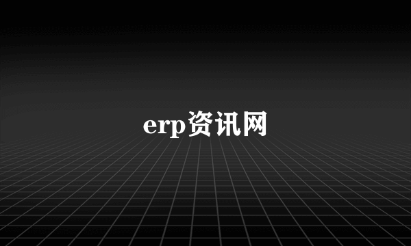 erp资讯网