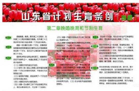 山东省计划生育条例