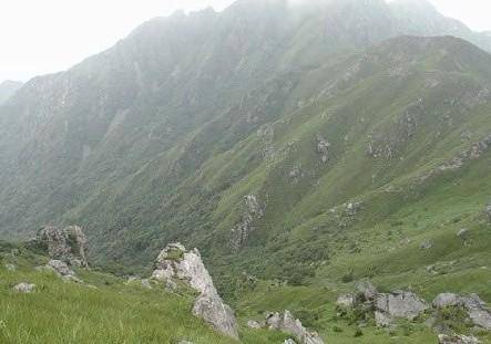 黄牛石自然保护区