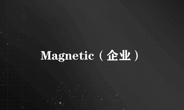 Magnetic（企业）
