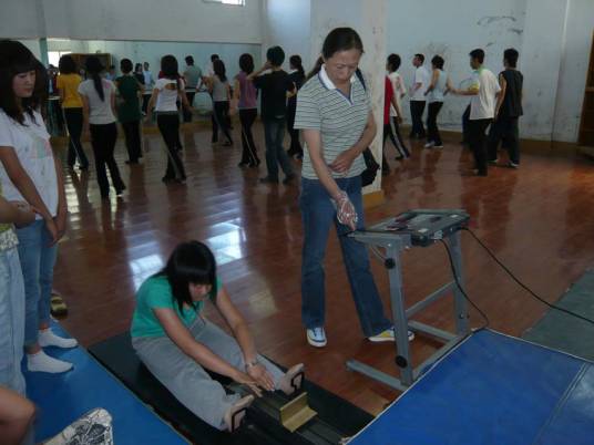 体质（体育学科的概念）