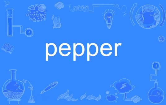 pepper（英语单词）