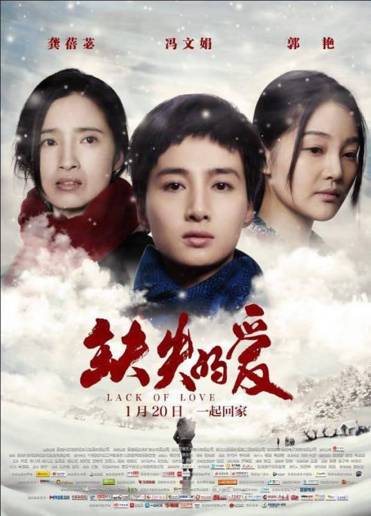 缺失的爱（2017年曾光永执导的剧情电影）