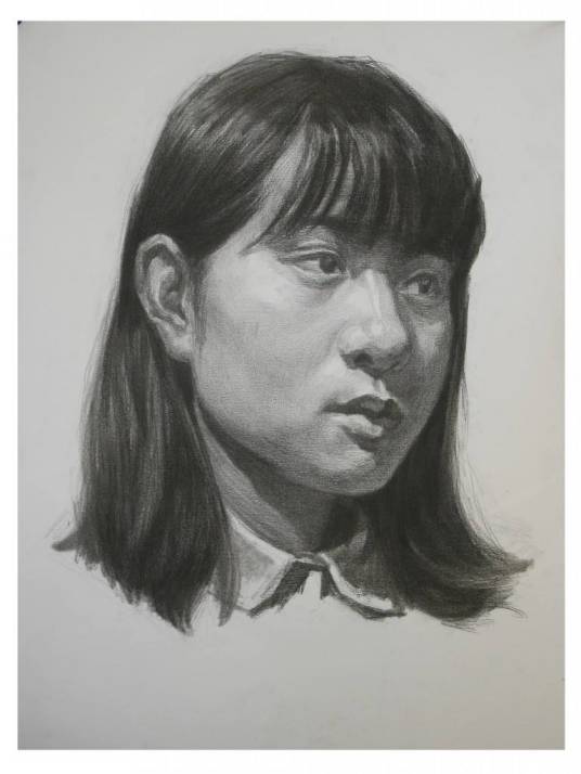 素描头像（多物种组合的静物素描）