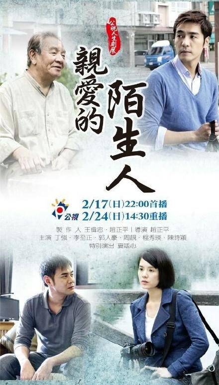 亲爱的陌生人（2013年赵正平执导电视剧）