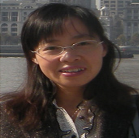 胡永平（重庆理工大学会计学院教师）