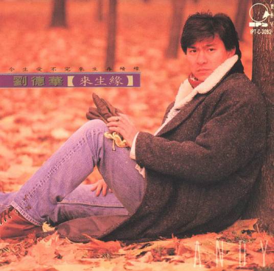 来生缘（1991年刘德华演唱的歌曲）