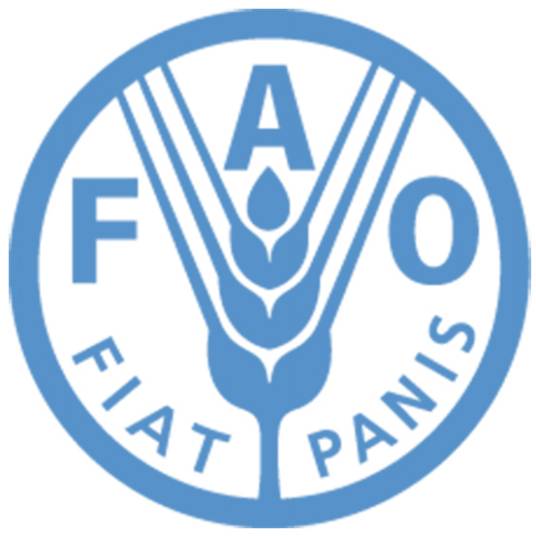 世界粮食日（围绕发展粮食和农业生产举行纪念活动的日子）