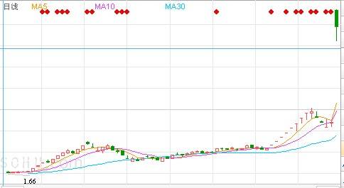 Nst（股票术语）