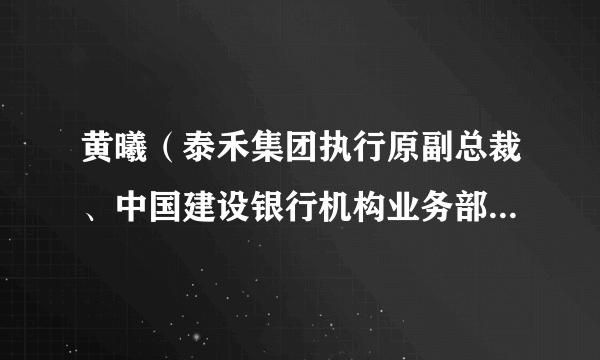 黄曦（泰禾集团执行原副总裁、中国建设银行机构业务部原总经理）