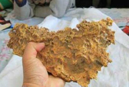 1·30新疆狗头金事件