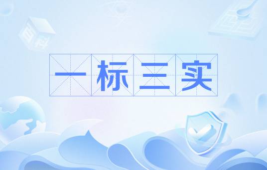 一标三实