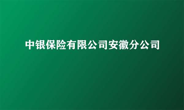中银保险有限公司安徽分公司
