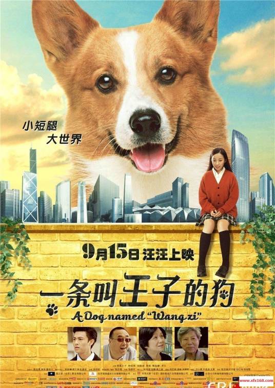 一条叫王子的狗