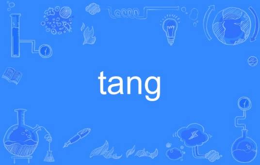 tang（英语单词）