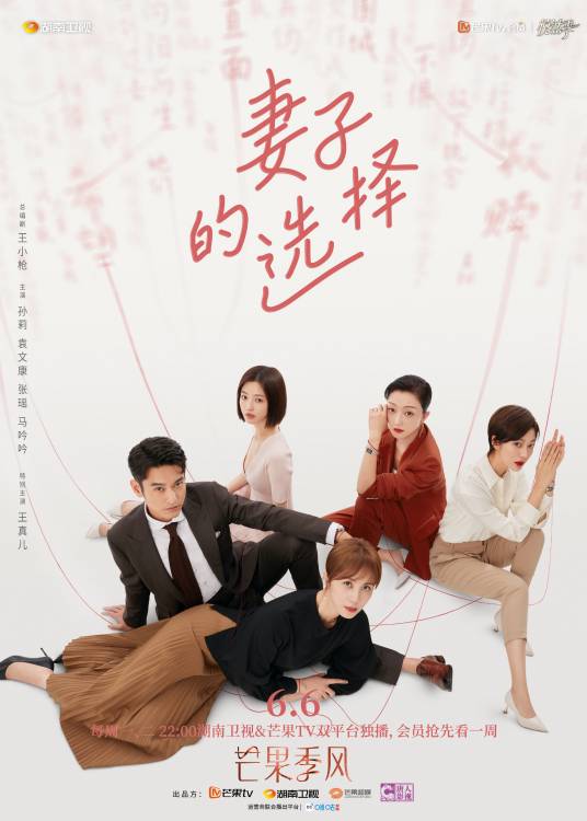 妻子的选择（2022年阚家伟执导的剧情电视剧）