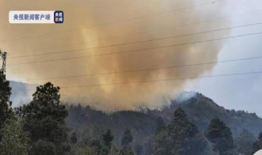 3·15大理森林火灾
